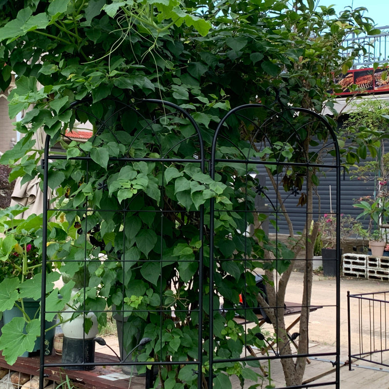 Metall Garten Gitter, 2 Pack Metallgitter für Kletterpflanzen, Indoor / Outdoor Pflanze Gitter für Topfpflanzen, Hauspflanzen, Kletterreben, Blumen und Gemüse, Rasen Garten Zaun Dekor Bildschirm