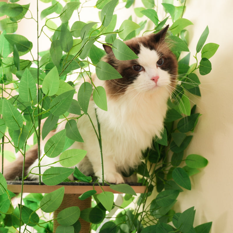 Kratzbaum in Baumform mit 4 Plattformen und Katzenlöchern – haustiersicheres Material, abnehmbare Blätter, geeignet für Katzen zum Verstecken, Klettern 190 cm