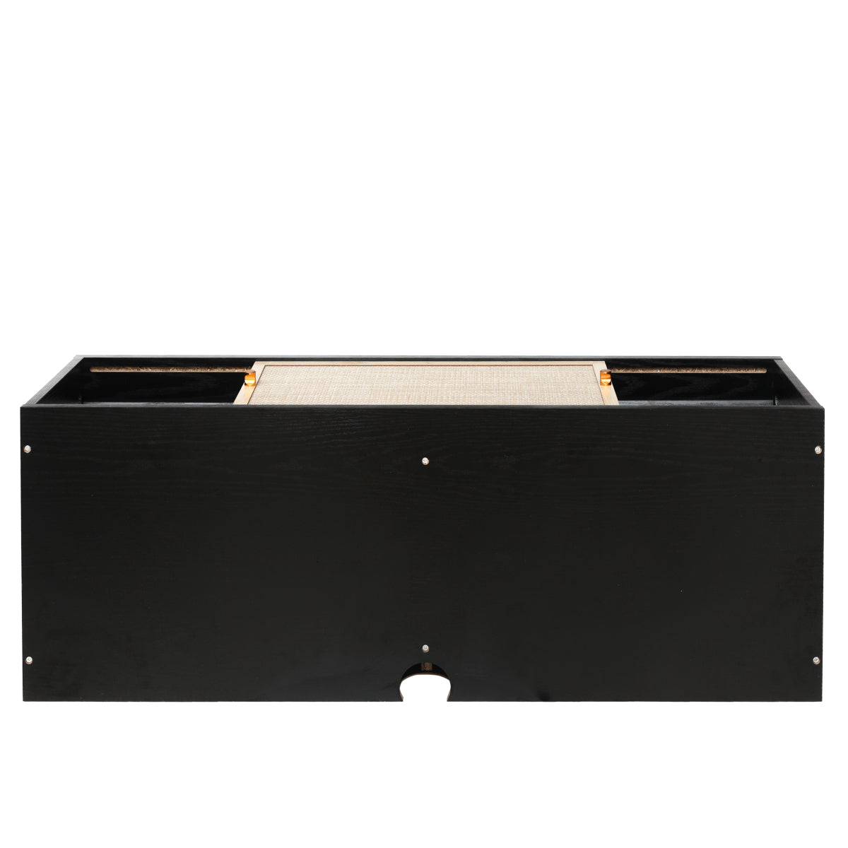 Sideboard 110x40x31 cm, TV-Schrank oder Hängeschrank, Kunst-Rattan Schiebetüren, Goldgriffe, Verstellbare Böden