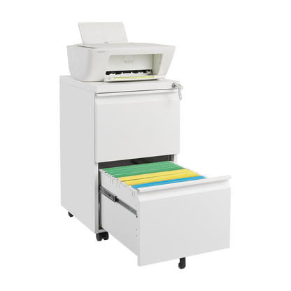 Metal 2 Drawer Mobile File Cabinet with Lock, Under Desk Office Steel Filing Cabinet, 25.6''H Legal/Letter Size Files Storage Cabinet,White