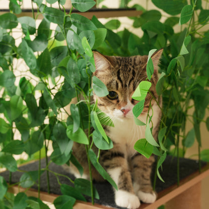 Kratzbaum in Baumform mit 4 Plattformen und Katzenlöchern – haustiersicheres Material, abnehmbare Blätter, geeignet für Katzen zum Verstecken, Klettern 190 cm