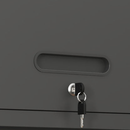 Vielseitiger Metall-Wandschrank, wandmontierter Nutzschrank mit verschließbarer Tür, aufgehängtes Stahlwerkzeugkabinett, Geeignet für Garage, Keller, Werkstatt und Küche, H34,5 cm × B75 cm × T30 cm