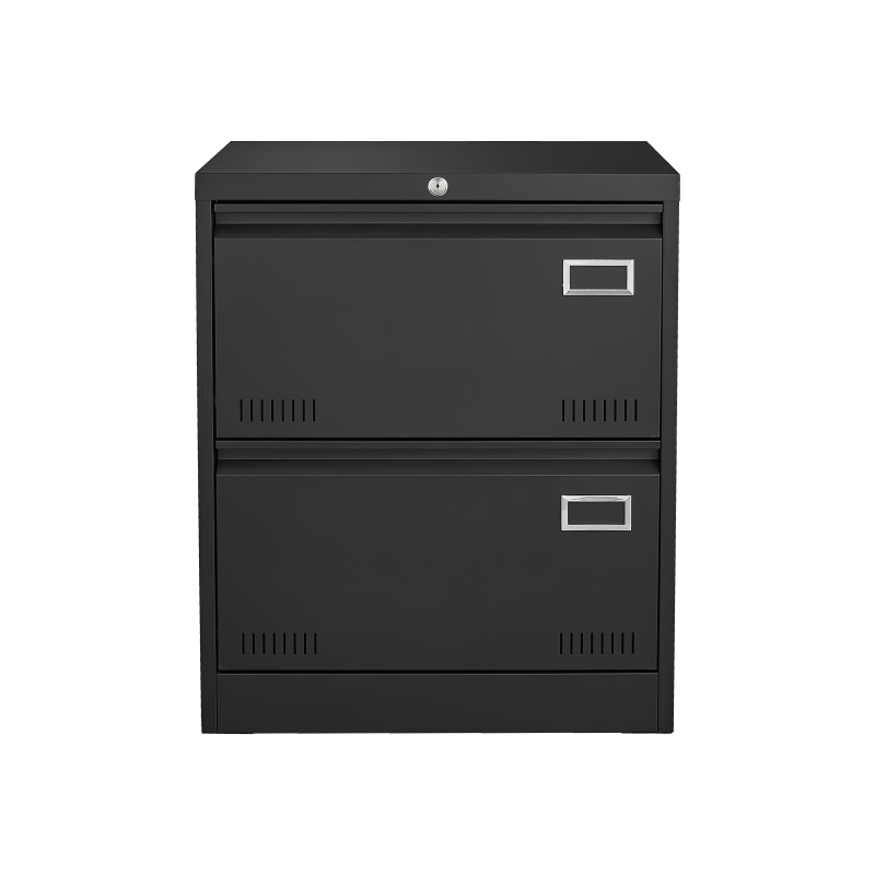 2 Drawer Metal Lateral File Cabinet with Lock,Office Vertical Files Cabinet for Home Office/Legal/Letter/A4,Locking Metal File Cabinet,Assembly Required (Black,with 2 Drawer)