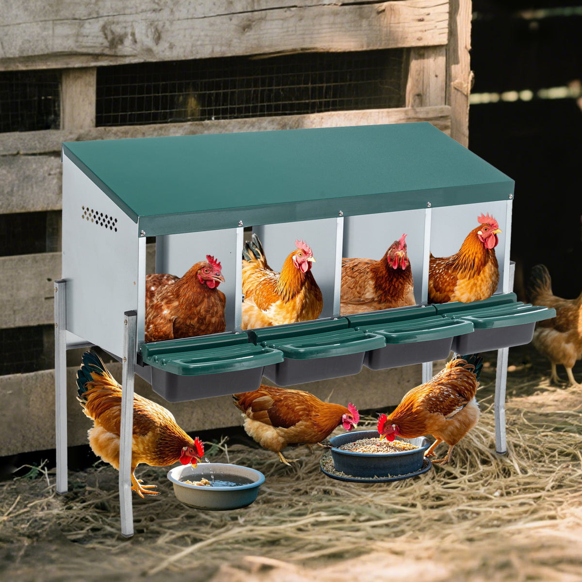 e54e230d-7034-4158-a4eb-9427304bd77e