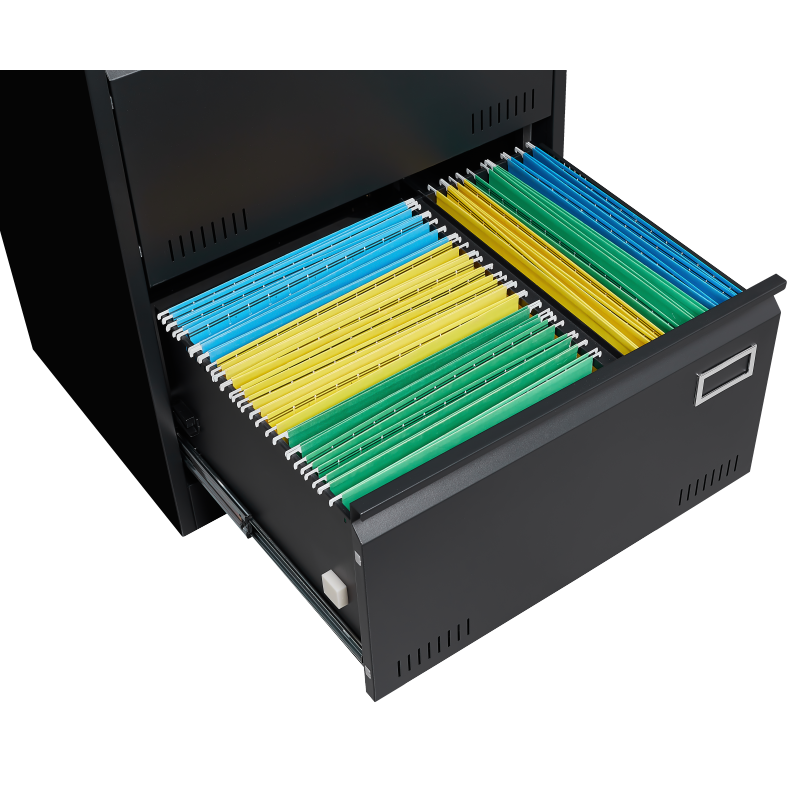 2 Drawer Metal Lateral File Cabinet with Lock,Office Vertical Files Cabinet for Home Office/Legal/Letter/A4,Locking Metal File Cabinet,Assembly Required (Black,with 2 Drawer)