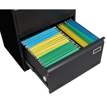2 Drawer Metal Lateral File Cabinet with Lock,Office Vertical Files Cabinet for Home Office/Legal/Letter/A4,Locking Metal File Cabinet,Assembly Required (Black,with 2 Drawer)