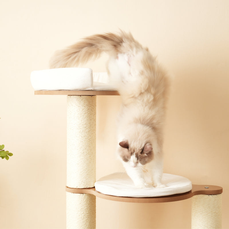 Katzenkratzbaum mit XXL-Stamm, 3-stufige Plattformen, 1 Katzenhaus, herausnehmbare Matten und Kippschutz,Wasserdicht und feuchtigkeitsbeständig