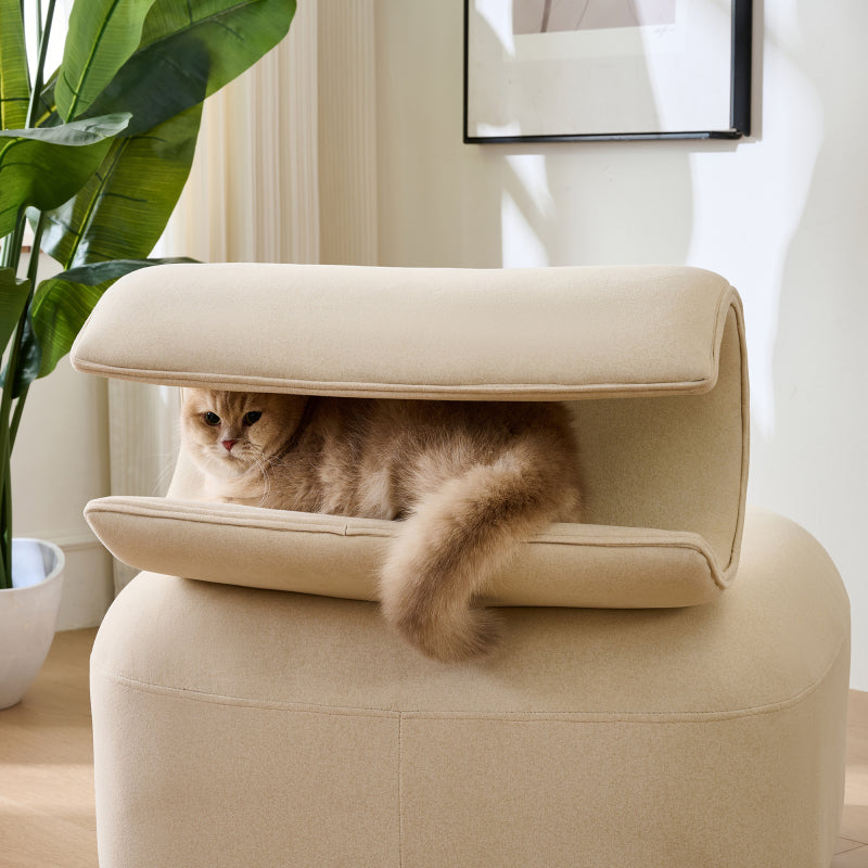 Mehrzweck-Sofa mit Katzenhöhle - haustierfreundlicher Futon für Wohn- und Schlafzimmer, Design für Mensch und Katze, Einsitzer-Sofa