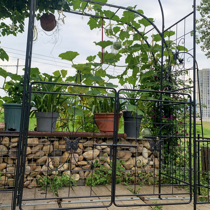 Gartenbogen Arbor Trellis für Kletterpflanzen mit Tor, langlebige Metall Gartenbogen Outdoor Hochzeitsbogen, für Hochzeitszeremonie Party Pflanze Klettern Rose Reben Rasen Innenhof Schwarz, 7,15 Fuß
