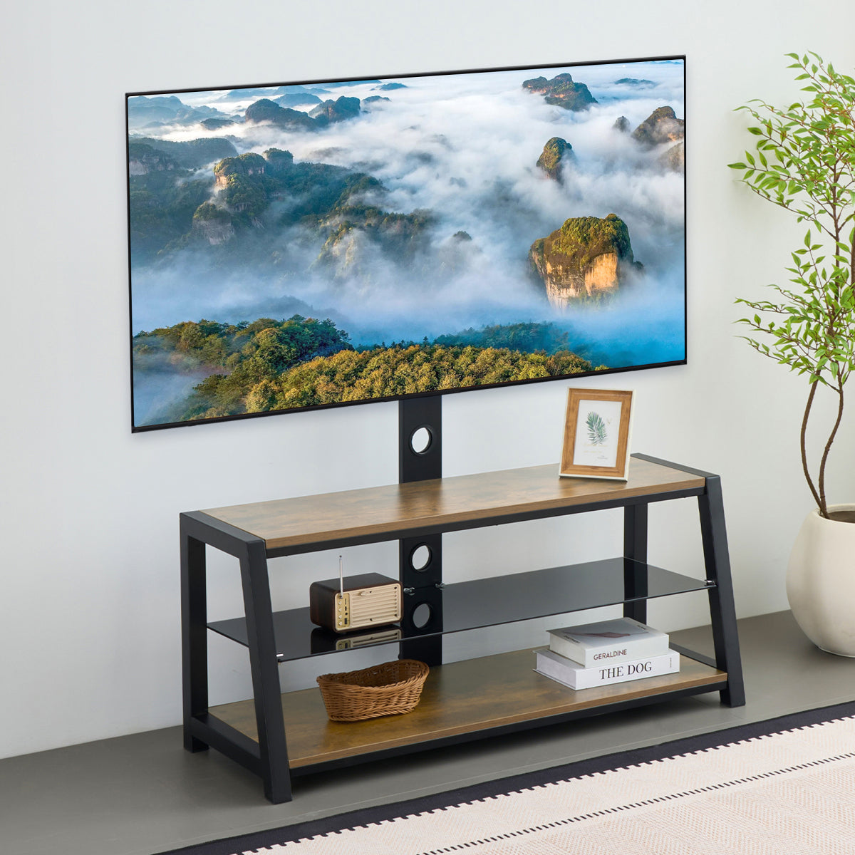 e55cd9cf-0ede-4c3b-bf73-6eeac5587369