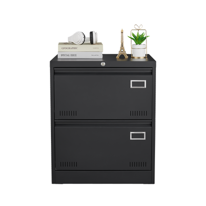2 Drawer Metal Lateral File Cabinet with Lock,Office Vertical Files Cabinet for Home Office/Legal/Letter/A4,Locking Metal File Cabinet,Assembly Required (Black,with 2 Drawer)