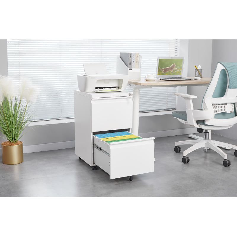 Metal 2 Drawer Mobile File Cabinet with Lock, Under Desk Office Steel Filing Cabinet, 25.6''H Legal/Letter Size Files Storage Cabinet,White