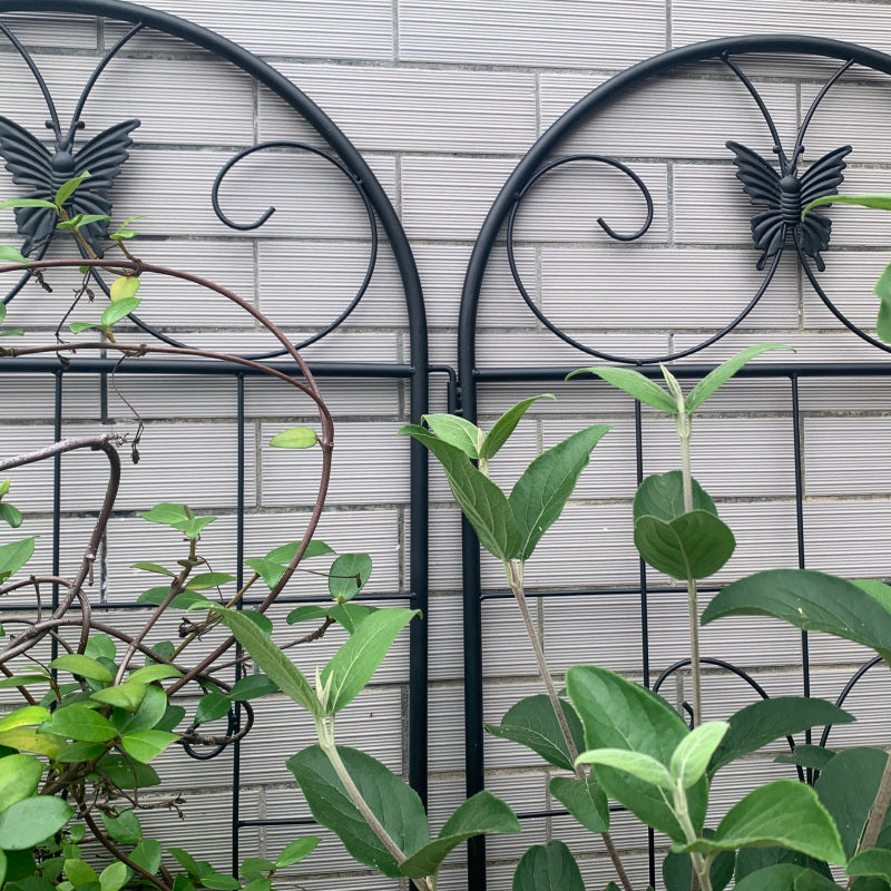 Metall Garten Gitter, 2 Pack Metallgitter für Kletterpflanzen, Indoor / Outdoor Pflanze Gitter für Topfpflanzen, Hauspflanzen, Kletterreben, Blumen und Gemüse, Rasen Garten Zaun Dekor Bildschirm