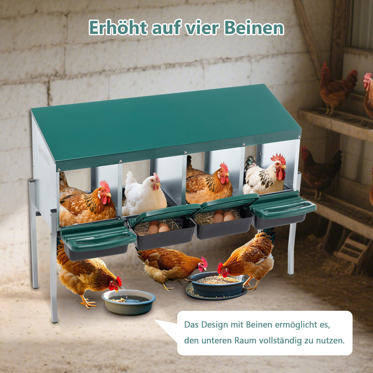 12b7533c-c429-4252-affa-19b8745f6a8b