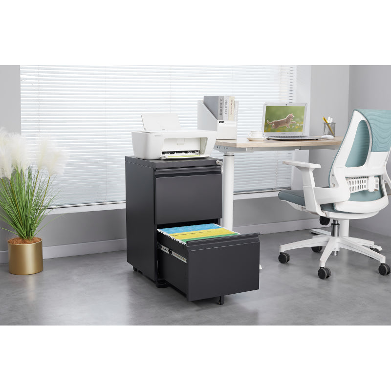 2 Drawer File Cabinet with Lock, Metal Under Desk Rolling Filing Cabinet fits Letter/Legal/A4 Size for Home Office, Mobile Filing Cabinet, Assemble Required, Black