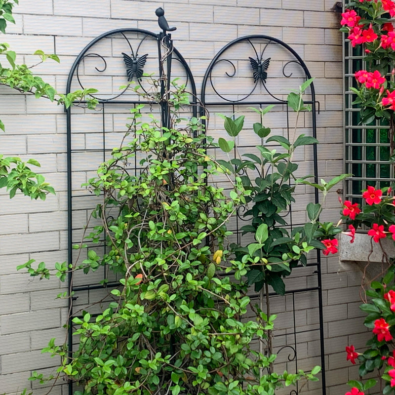 Metall Garten Gitter, 2 Pack Metallgitter für Kletterpflanzen, Indoor / Outdoor Pflanze Gitter für Topfpflanzen, Hauspflanzen, Kletterreben, Blumen und Gemüse, Rasen Garten Zaun Dekor Bildschirm