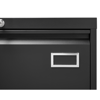 2 Drawer Metal Lateral File Cabinet with Lock,Office Vertical Files Cabinet for Home Office/Legal/Letter/A4,Locking Metal File Cabinet,Assembly Required (Black,with 2 Drawer)