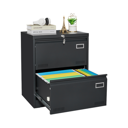 2 Drawer Metal Lateral File Cabinet with Lock,Office Vertical Files Cabinet for Home Office/Legal/Letter/A4,Locking Metal File Cabinet,Assembly Required (Black,with 2 Drawer)