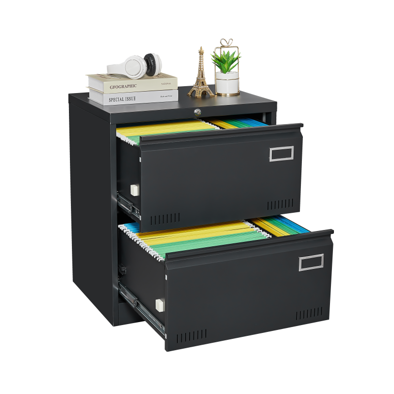 2 Drawer Metal Lateral File Cabinet with Lock,Office Vertical Files Cabinet for Home Office/Legal/Letter/A4,Locking Metal File Cabinet,Assembly Required (Black,with 2 Drawer)