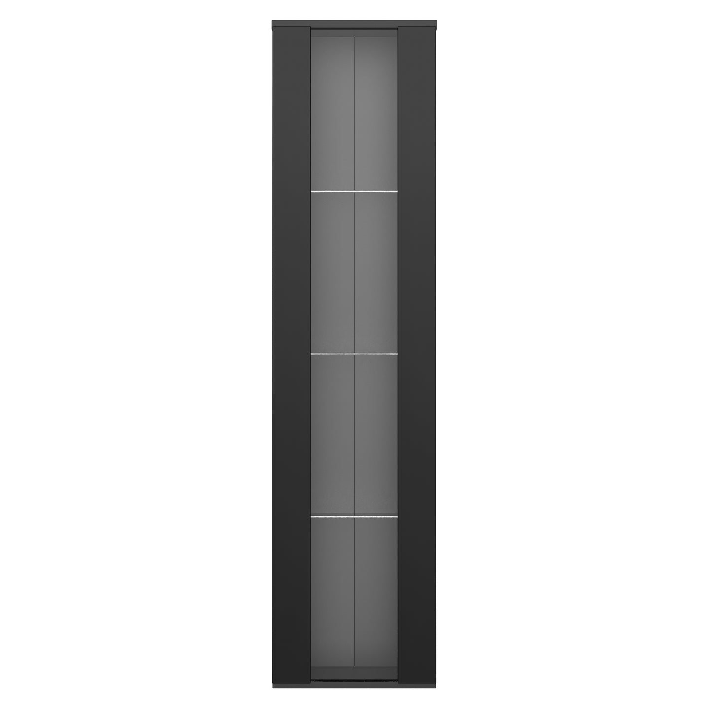 Multifunktionale Vitrine, Glastrennwand, LED-Farbwechsel Licht, schlichtes Design, Schwarz