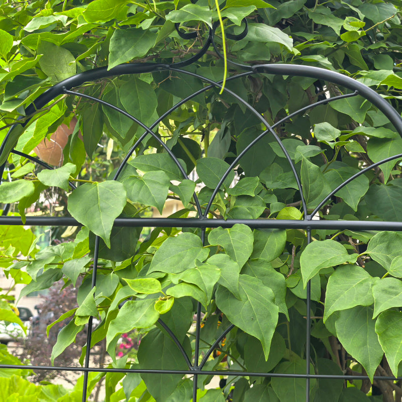 Metall Garten Gitter, 2 Pack Metallgitter für Kletterpflanzen, Indoor / Outdoor Pflanze Gitter für Topfpflanzen, Hauspflanzen, Kletterreben, Blumen und Gemüse, Rasen Garten Zaun Dekor Bildschirm