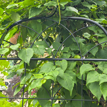 Metall Garten Gitter, 2 Pack Metallgitter für Kletterpflanzen, Indoor / Outdoor Pflanze Gitter für Topfpflanzen, Hauspflanzen, Kletterreben, Blumen und Gemüse, Rasen Garten Zaun Dekor Bildschirm