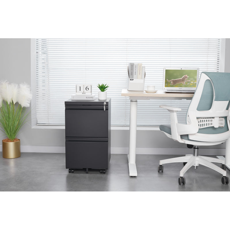 2 Drawer File Cabinet with Lock, Metal Under Desk Rolling Filing Cabinet fits Letter/Legal/A4 Size for Home Office, Mobile Filing Cabinet, Assemble Required, Black