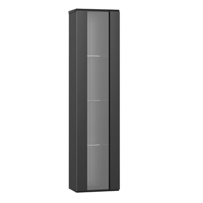 Multifunktionale Vitrine, Glastrennwand, LED-Farbwechsel Licht, schlichtes Design, Schwarz