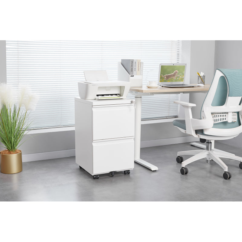 Metal 2 Drawer Mobile File Cabinet with Lock, Under Desk Office Steel Filing Cabinet, 25.6''H Legal/Letter Size Files Storage Cabinet,White